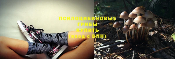 mdpv Киреевск