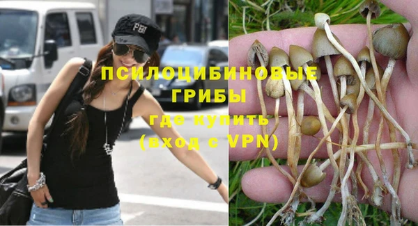 mdpv Киреевск